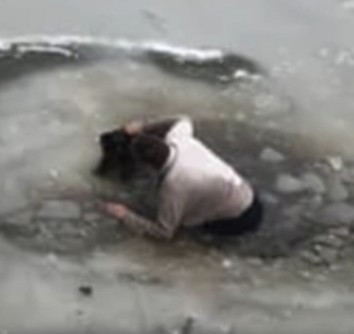 Don decided to call 911 for assistance, but he quickly realized that he might not have time to wait for help because the dog was in danger.