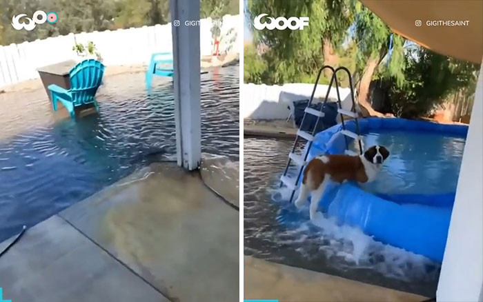 28. I'm a pool genius. The problem is that the swimming pool was too small, so I made mine bigger!
