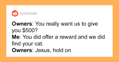 Guy Returns Lost Cat To Her Owners But After Asking For The Promised $500 Reward Gets Ridiculed