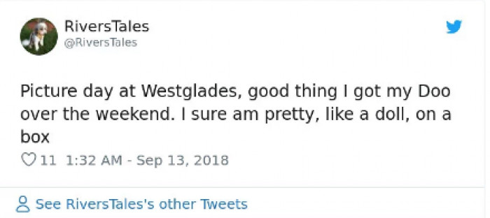 Therapy dog named Schooner near memorial statue honoring Parkland victims