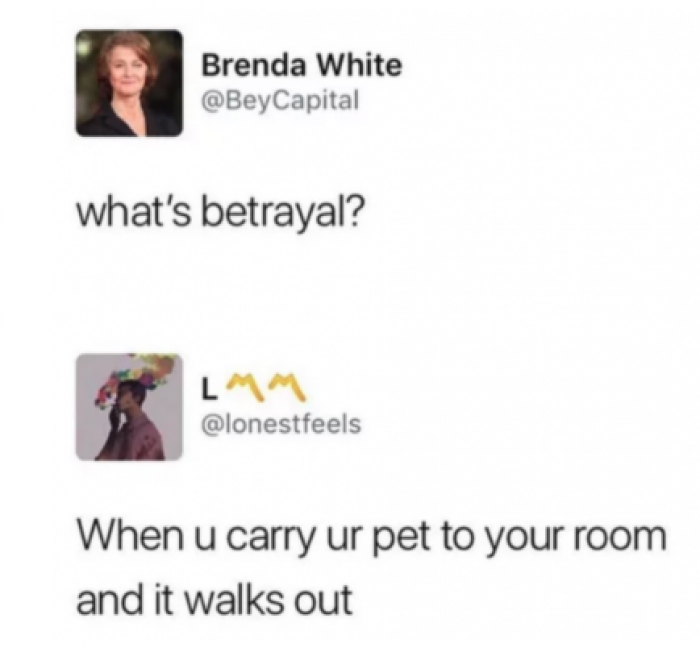 12. Cats have zero respect.