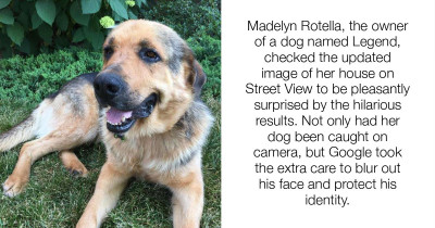 Google Respects Dog's Privacy By Blurring Out His Face On Street View