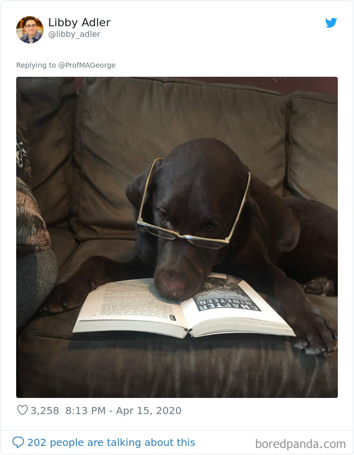 15. "Hmmm, interesting"