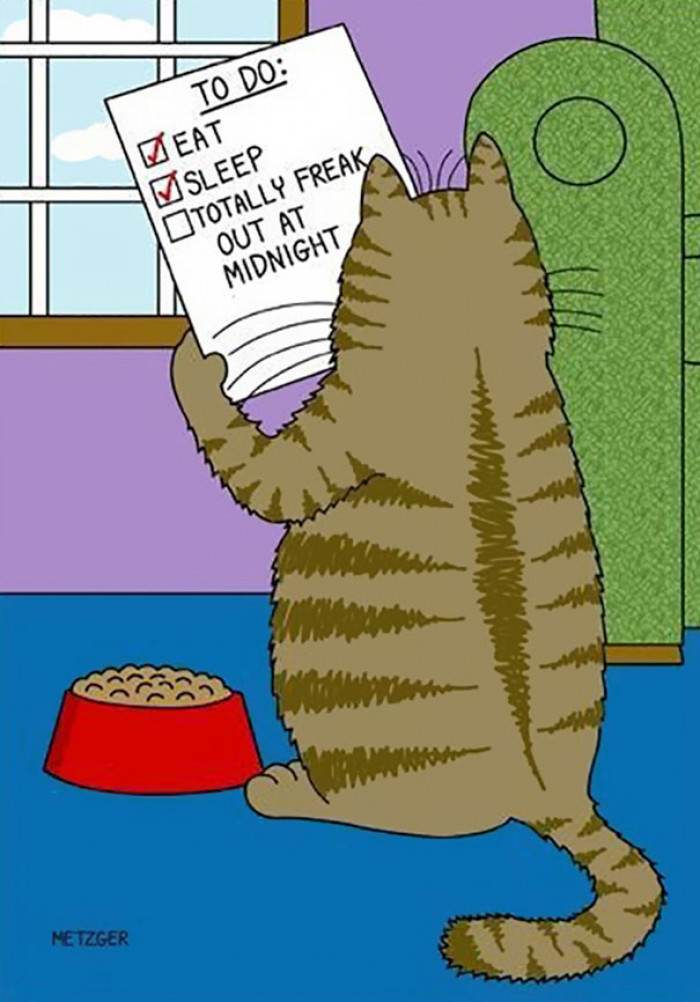 Hilarious Cat Comics To Celebrate Over 20 Years Of Work From Scott Metzger
