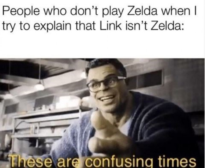 14. Link isn't Zelda