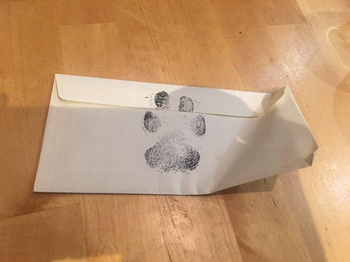 She even put her paw print to sort of 