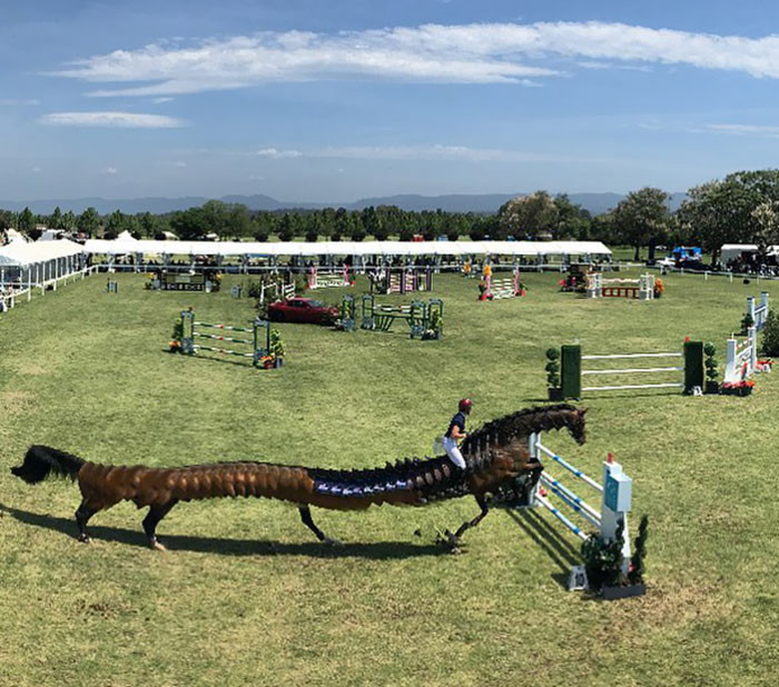 Strange horse you've got there.