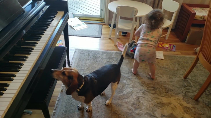 “We feel he plays his tunes not only for the love of music and his family but as a call to action for others to consider rescuing an animal. There are so many out there in need of a good, loving, and happy home.”