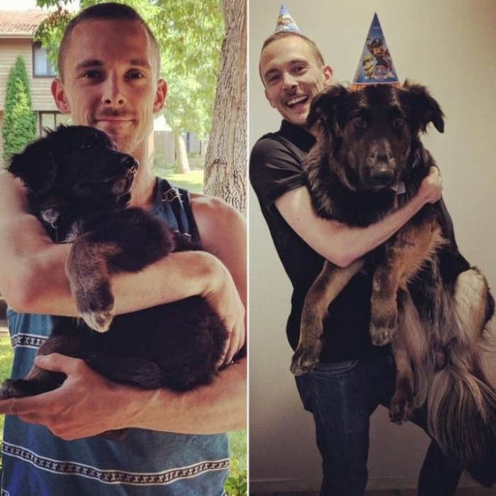 16. Little puppy grew huge by his first birthday.