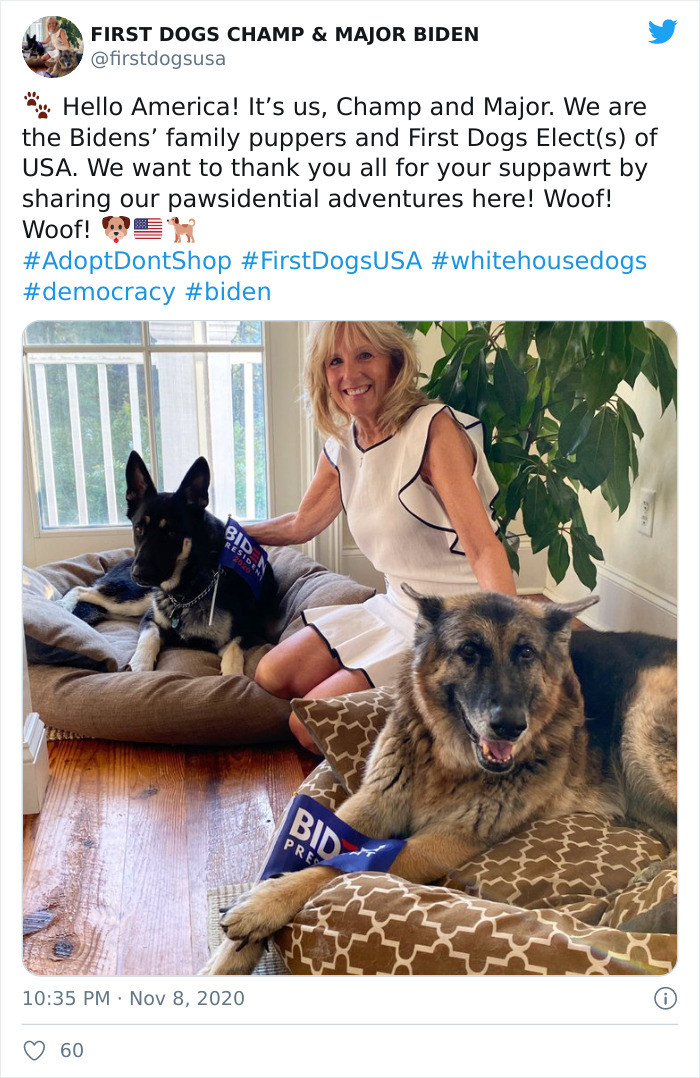Some fantastic history of the presidential pups: