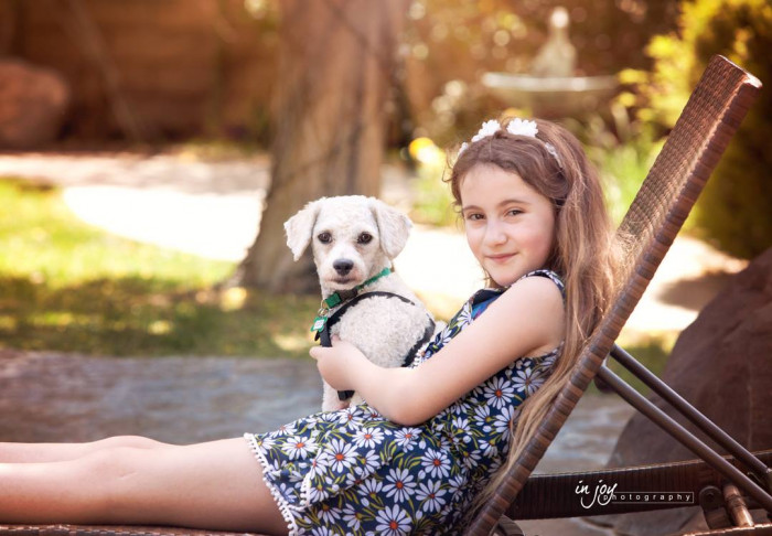 Eldad didn't leave fans hanging; his final update included that Scotty had found his forever home.