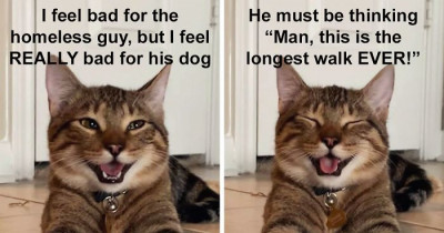 Cat Owner Shares a Photo of His Laughing Cat, and It Quickly Becomes a Favorite “Cat Joke” Meme
