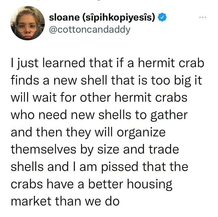 11. The hermit crabs do it better than we do.