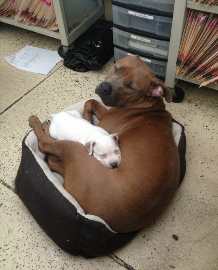 Mother and Daughter?