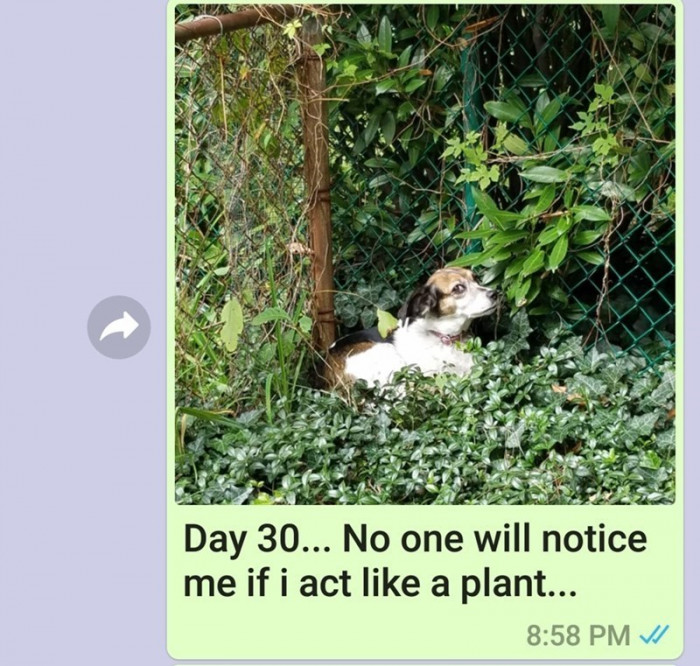Day 30.