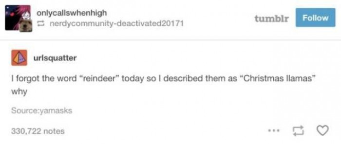 1. Christmas llamas.