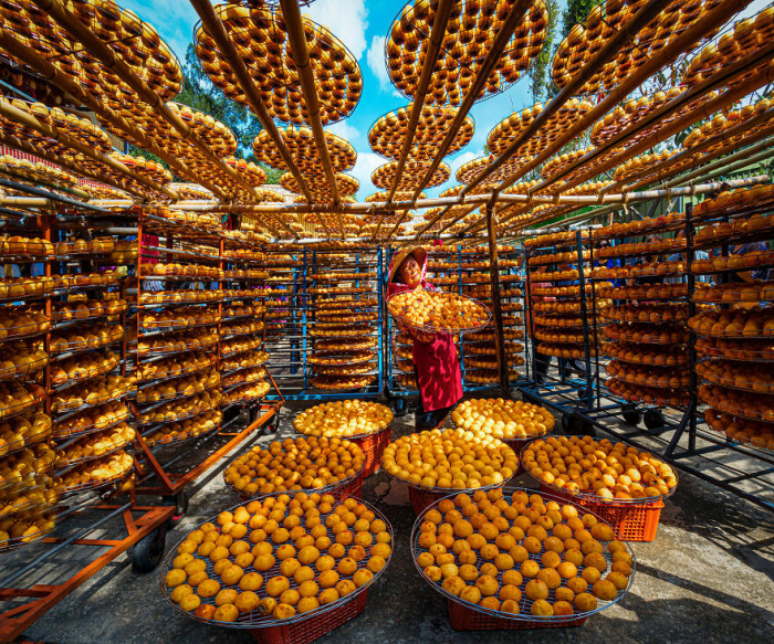 4. Drying Dried Persimmons. 2nd Place, Advertising