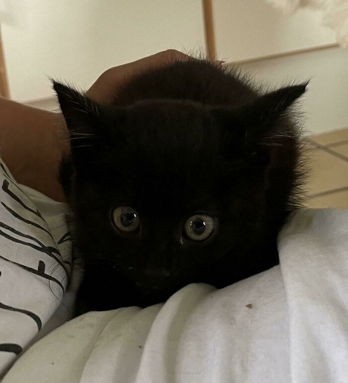 9. Pretty sure you just adopted the void