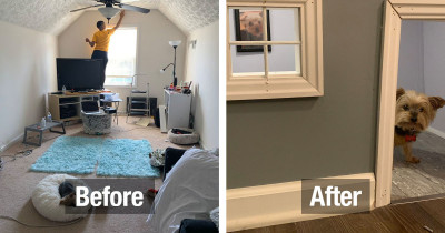Lucky Dogs Get Incredible Indoor House From This Creative Woman