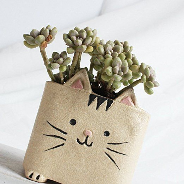 This Purr-fect Vase