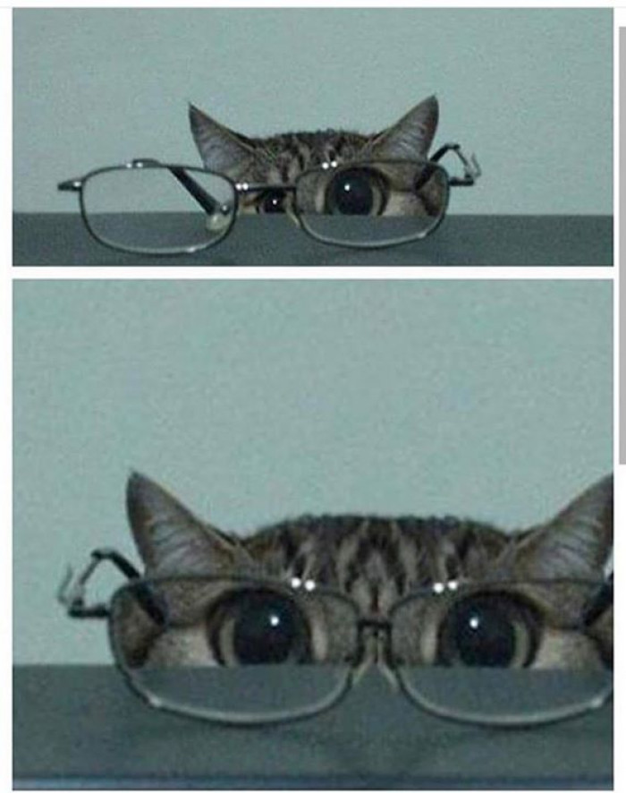 10. Suddenly, I see!