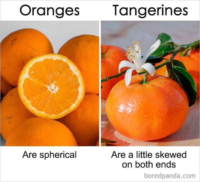 orange vs tangerine