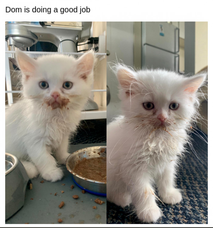 6. We are all so very proud of this lil guy.