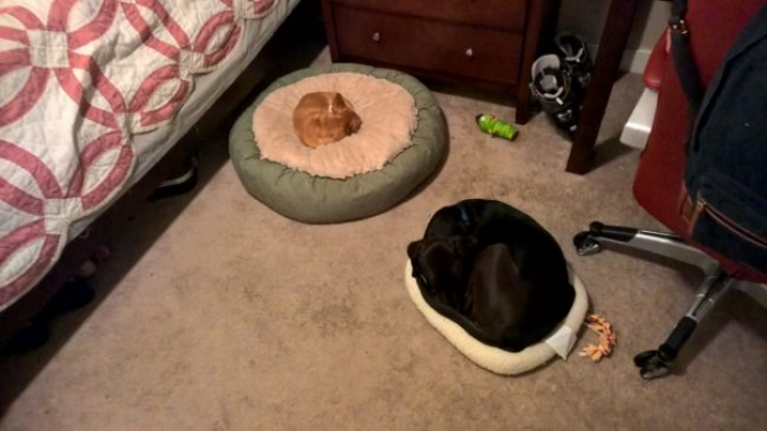10. Bed mix-up