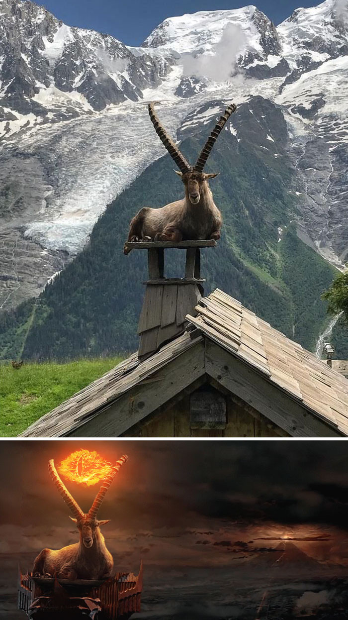 11. The eye of Goat