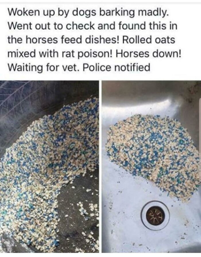 4. Makes you wonder why these kinds of people exist.