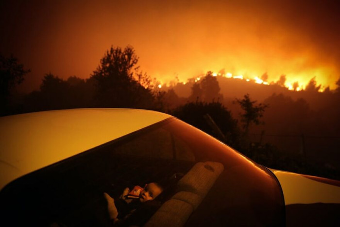 12. Forest Fire. Gold, Editorial/General News