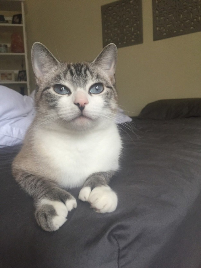 Pretty eyes, pretty feet!