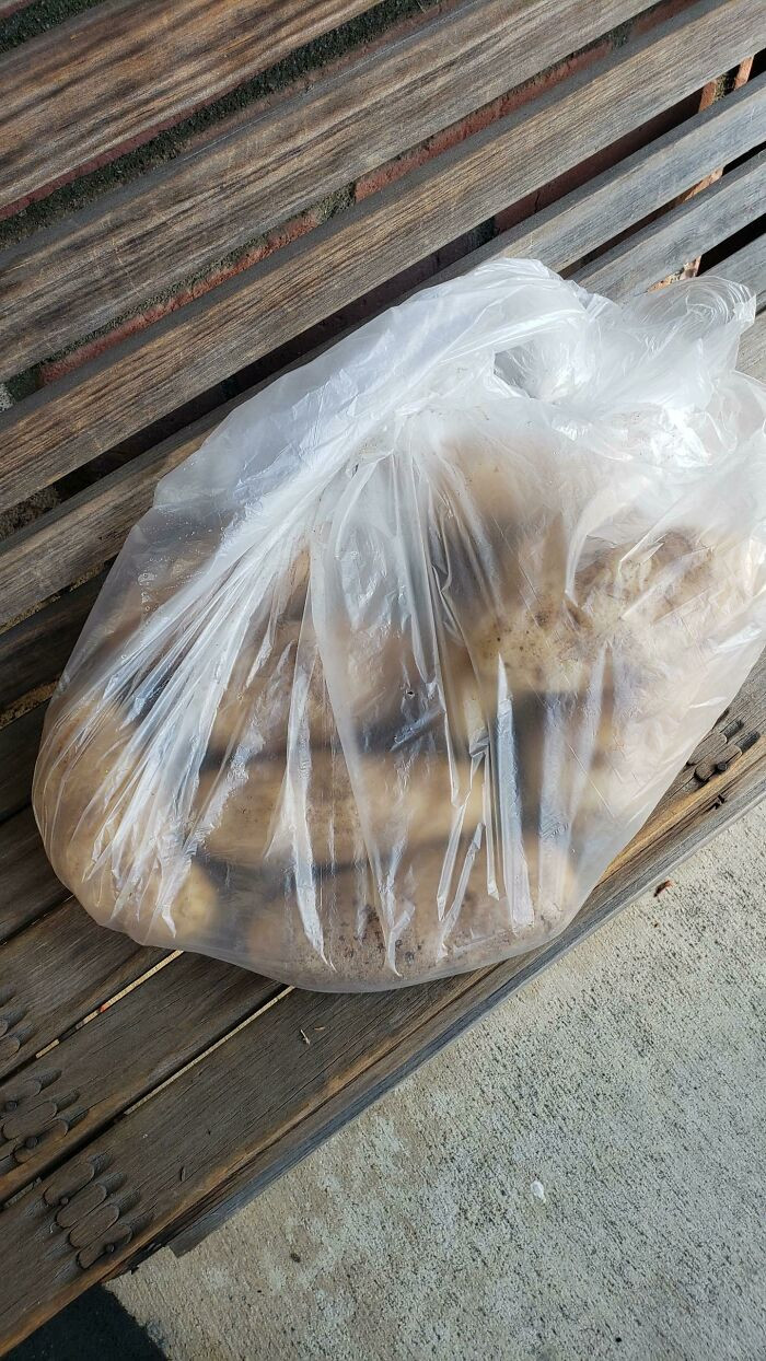 25. They should have also included instructions on what employees are supposed to do with it.