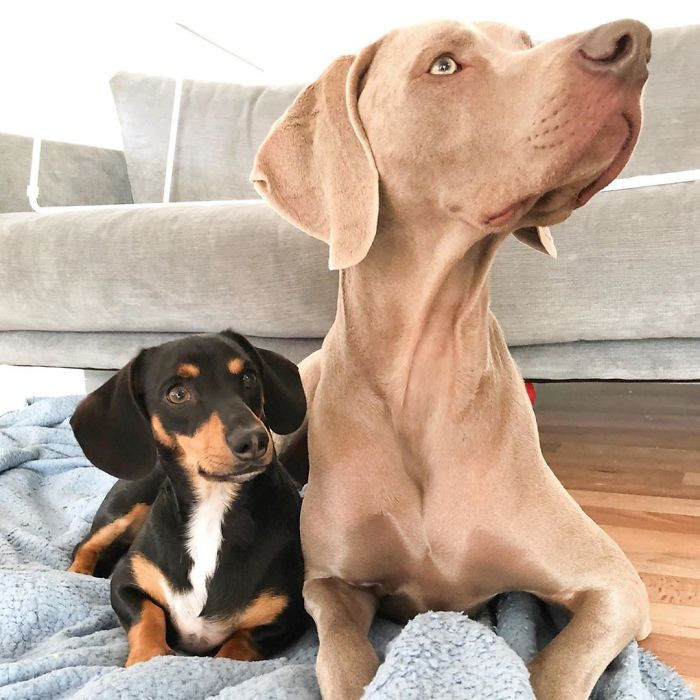 Frank radiates self-assurance and friendliness, which helped Arnold