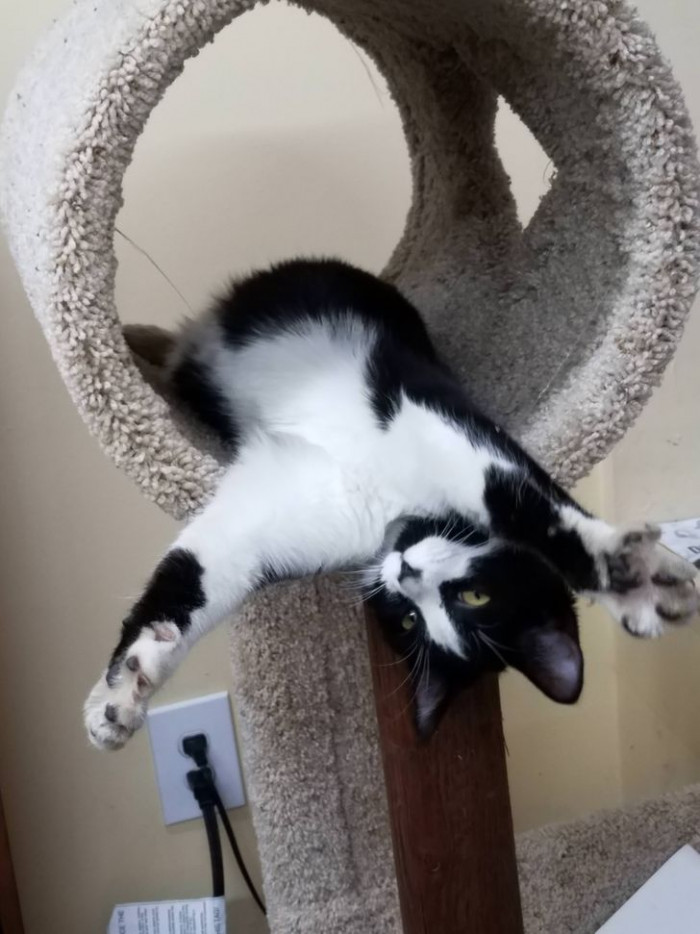 15. He just wants a hug.