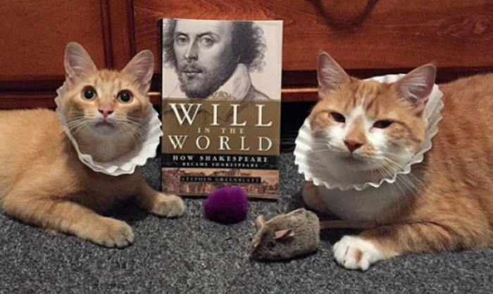 Every week Lisa picks a new topic and gets to work. Horatio is a very patient cat.