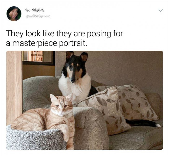 12. Just look at how good at posing these two are!