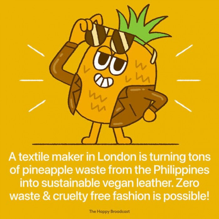 5. Pineapple waste into vegan leather
