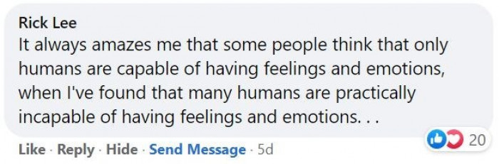 5. Sometimes, animals can have more feelings than humans.