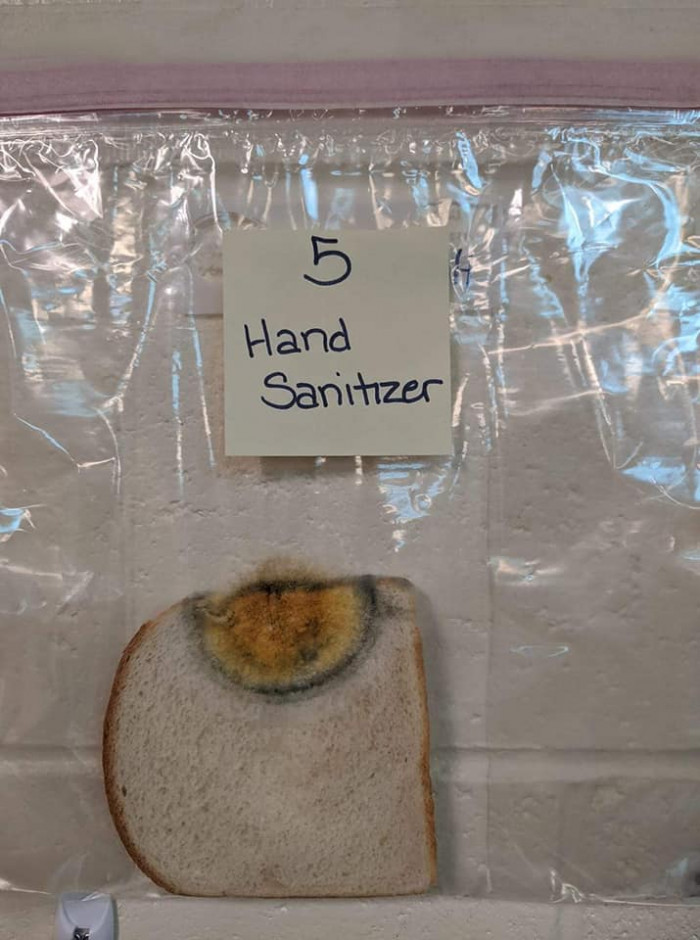 Sanitizer only bread: