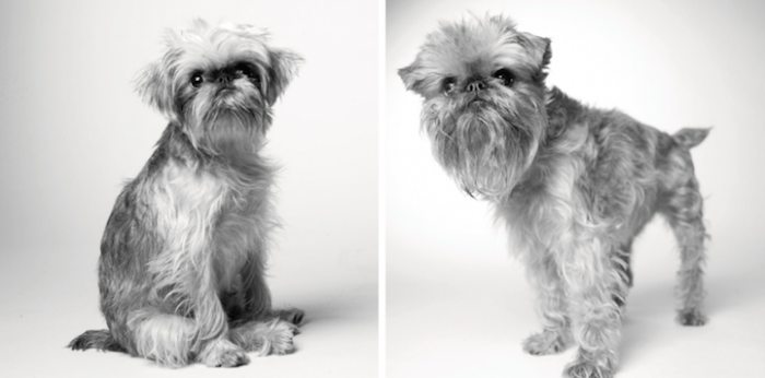 9. Briscoe, 1 year and 10 years.