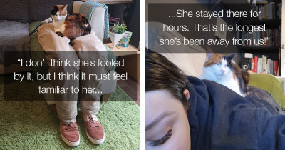 Couple Con Their Incredibly Needy Cat By Making A False Lap For Her To Sit On And She Adores It
