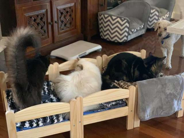 She initially decided to push the beds together.