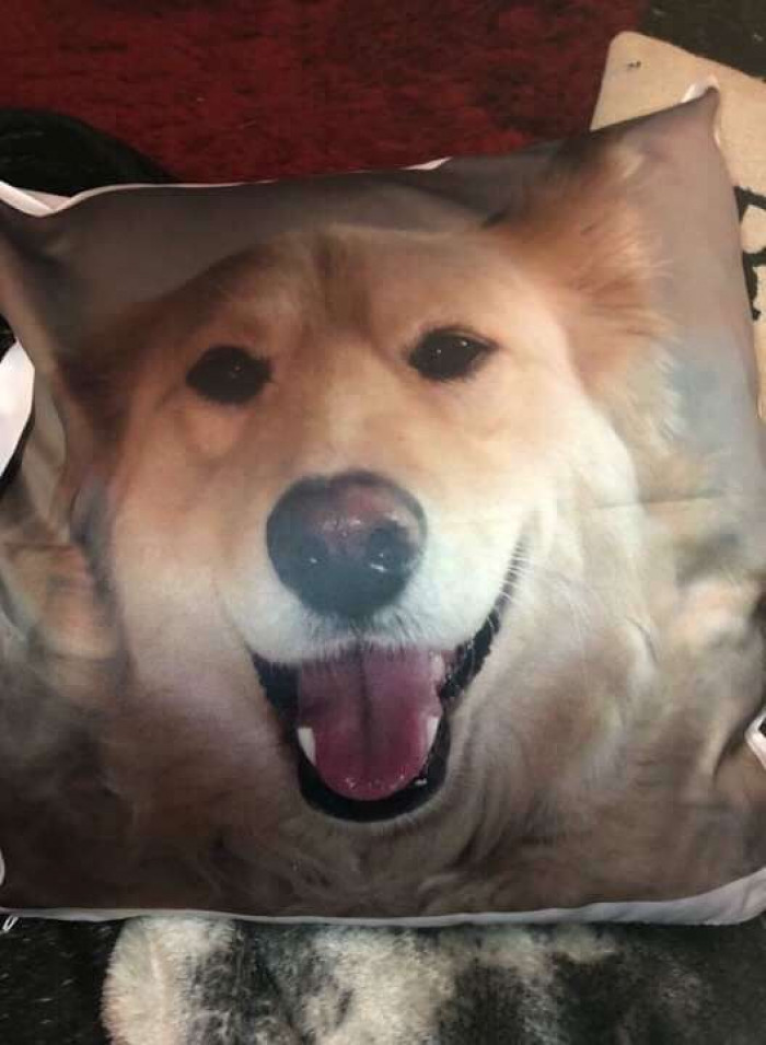 So, Beth's father came up with an idea to help put Spencer a little more at ease: a custom pillow with Rocky's smiling face printed on it!