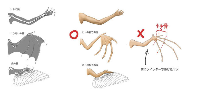 9. Human arm with wings