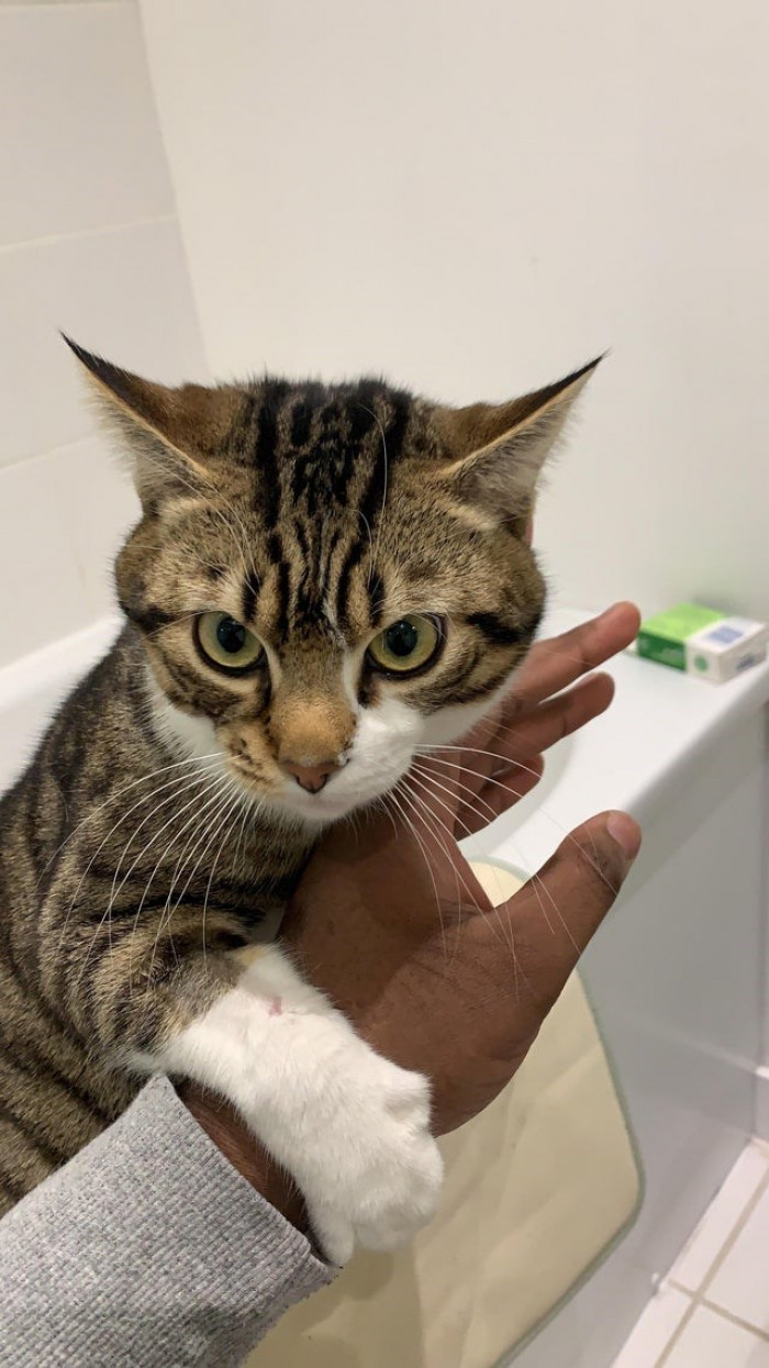 2. “He always follows me to the bathroom; today he held my hand.”