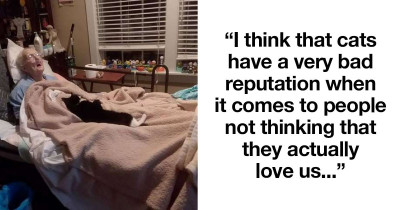 Sick Grandmother's Companion Cat Refused To Leave Her Side