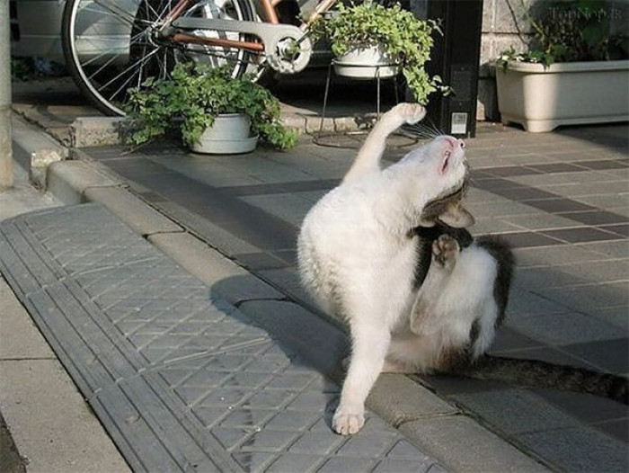 19. "I must stretch for the sun!"