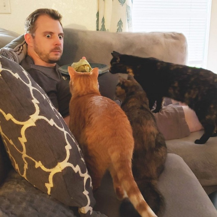 "Never give your cats little pieces of cheese from your sandwich when they’re little, no matter how cute they are… Because this is what happens later on!"