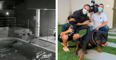 Brave Kid Jumps Into A Pool To Save His Beloved Dog From Drowning